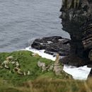 (2019-10) Irland HK 23669 - Cliffs of Moher