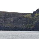 (2019-10) Irland HK 23713 - Bootstour zu den Cliffs of Moher