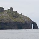 (2019-10) Irland HK 23715 - Bootstour zu den Cliffs of Moher
