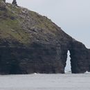 (2019-10) Irland HK 23716 - Bootstour zu den Cliffs of Moher