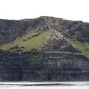 (2019-10) Irland HK 23719 - Bootstour zu den Cliffs of Moher