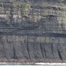 (2019-10) Irland HK 23721 - Bootstour zu den Cliffs of Moher