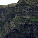 (2019-10) Irland HK 23725 - Bootstour zu den Cliffs of Moher