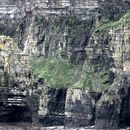 (2019-10) Irland HK 23727 - Bootstour zu den Cliffs of Moher