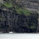 (2019-10) Irland HK 23730 - Bootstour zu den Cliffs of Moher