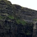 (2019-10) Irland HK 23731 - Bootstour zu den Cliffs of Moher