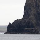(2019-10) Irland HK 23733 - Bootstour zu den Cliffs of Moher