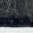 (2019-10) Irland HK 23735 - Bootstour zu den Cliffs of Moher