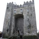 (2019-10) Irland HK 23772 - Bunratty Castle, Claire