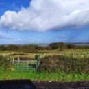 (2019-10) Irland HK 33791 1 - Ring of Dingle