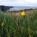 (2019-10) Irland HK 343 - Cliffs of Moher