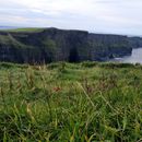 (2019-10) Irland HK 347 - Cliffs of Moher