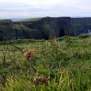 (2019-10) Irland HK 348 - Cliffs of Moher