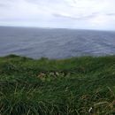 (2019-10) Irland HK 350 - Cliffs of Moher