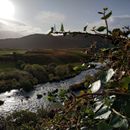 (2019-10) Irland HK 439 - River Caragh, Ring of Kerry, Glenbeigh