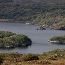 (2019-10) Irland HK 44218 - Muckross Lake, Ring of Kerry