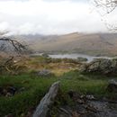 (2019-10) Irland HK 44232 - Muckross Lake, Ring of Kerry