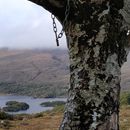 (2019-10) Irland HK 471 - Ring of Kerry, Muckross Lake