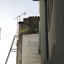 (2023-03) Lissabon 1324 - Hinter dem und im Hotel - ein bisschen Grün an der Feuerleiter