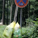 (2023-09-11) Rügen 2956 - Müllentsorgung im Jasmund
