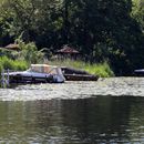 (2024-05-26) - 4026 - 7-Seen-Schiffstour - Ufer am Stölpchensee