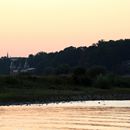 (2024-08-24) Dresden 10668 - Abendrunde mit Dampfschiff