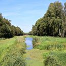 (2024-09-08) Urlaub 10846 - Usedom - Grenze bei Garz