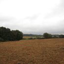 (2024-09-09) Urlaub 11098 - AMittlerer Strelasund bei Prosnitz