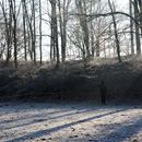 (2025-02-01) Gütersloh 5159 - Pferdehof in Pixel