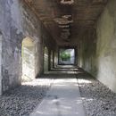 (2025-05-10) Ehemaliger Rangierbahnhof Tempelhof 5500
